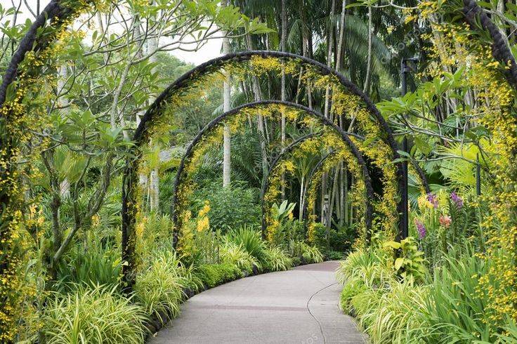 Outstanding Balcony Garden Ideas