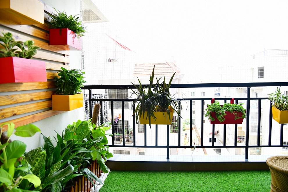 Terrace Garden Services Bangalore