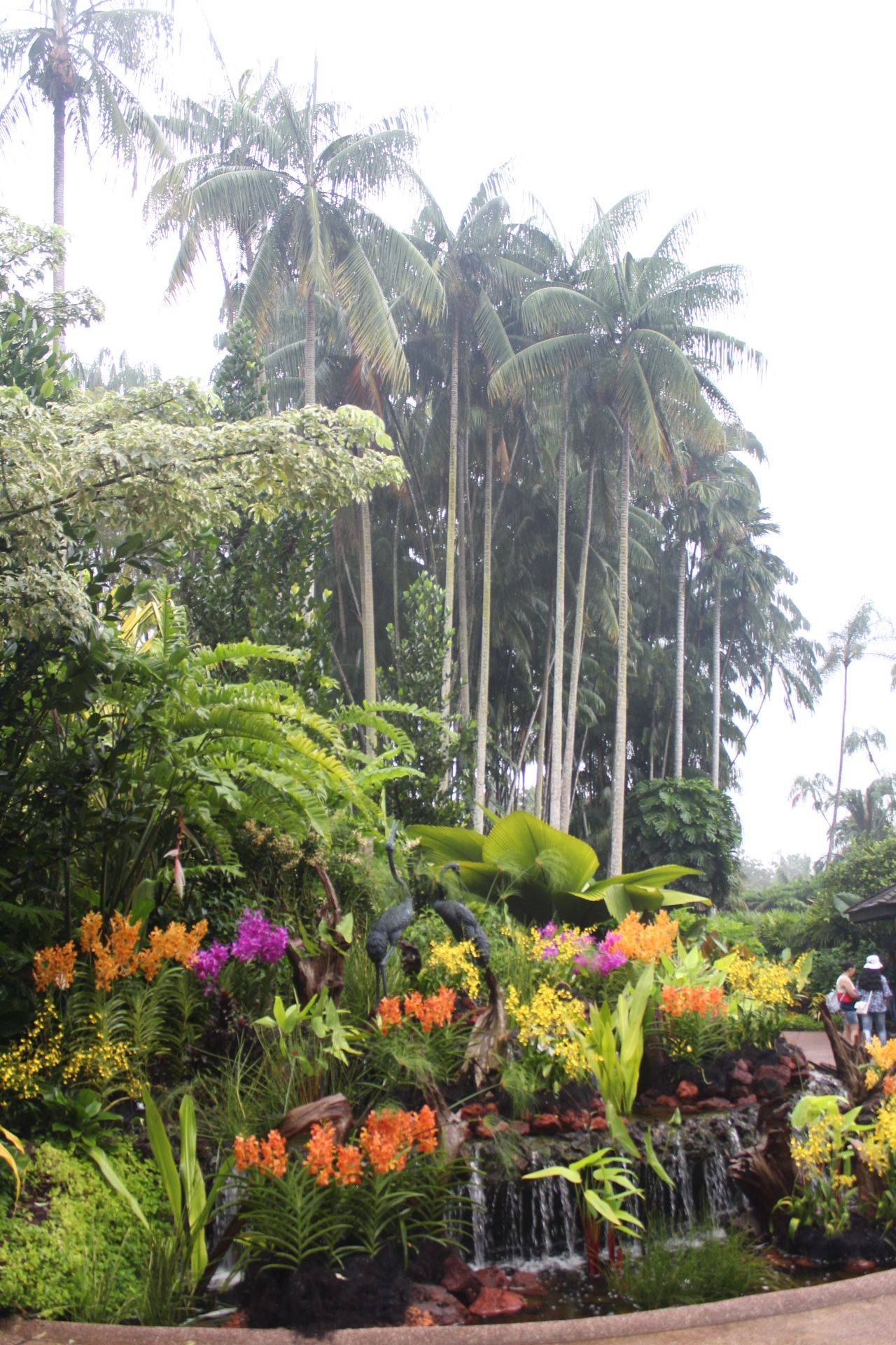 Singapur Botanik Baheleri Singapore Botanic Gardens