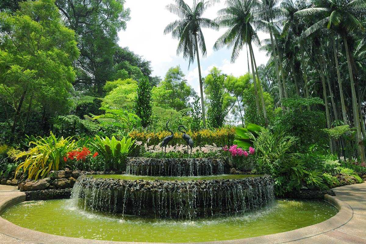 Singapores Botanic Gardens