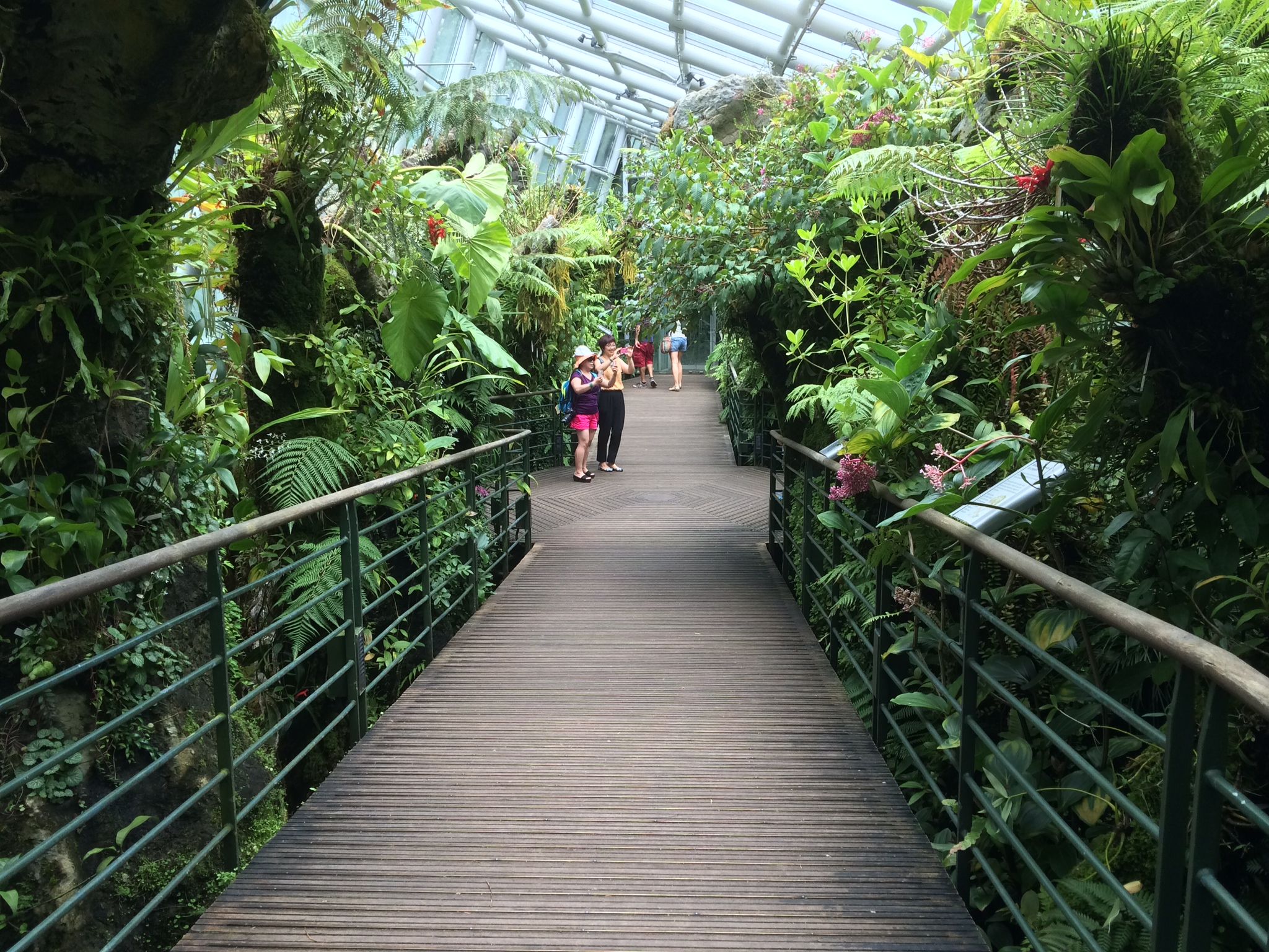 Singapore Botanic Gardens