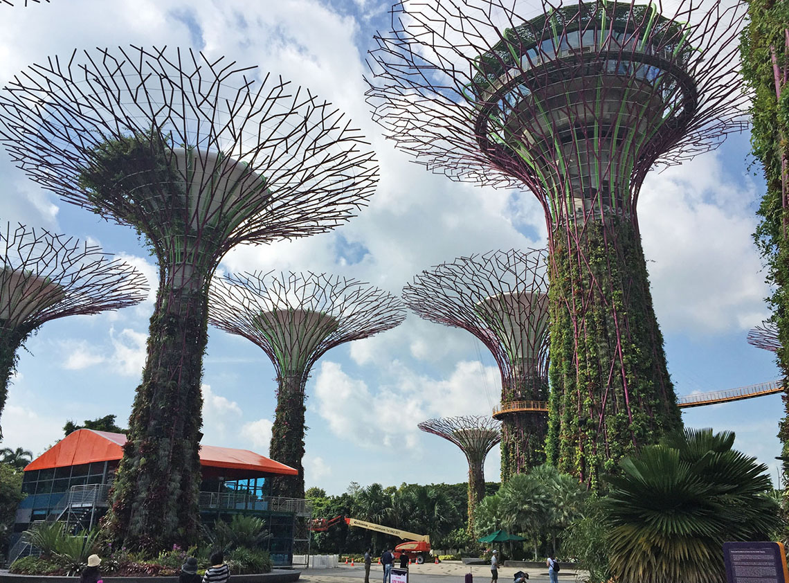 Singapore Botanic Gardens Parks