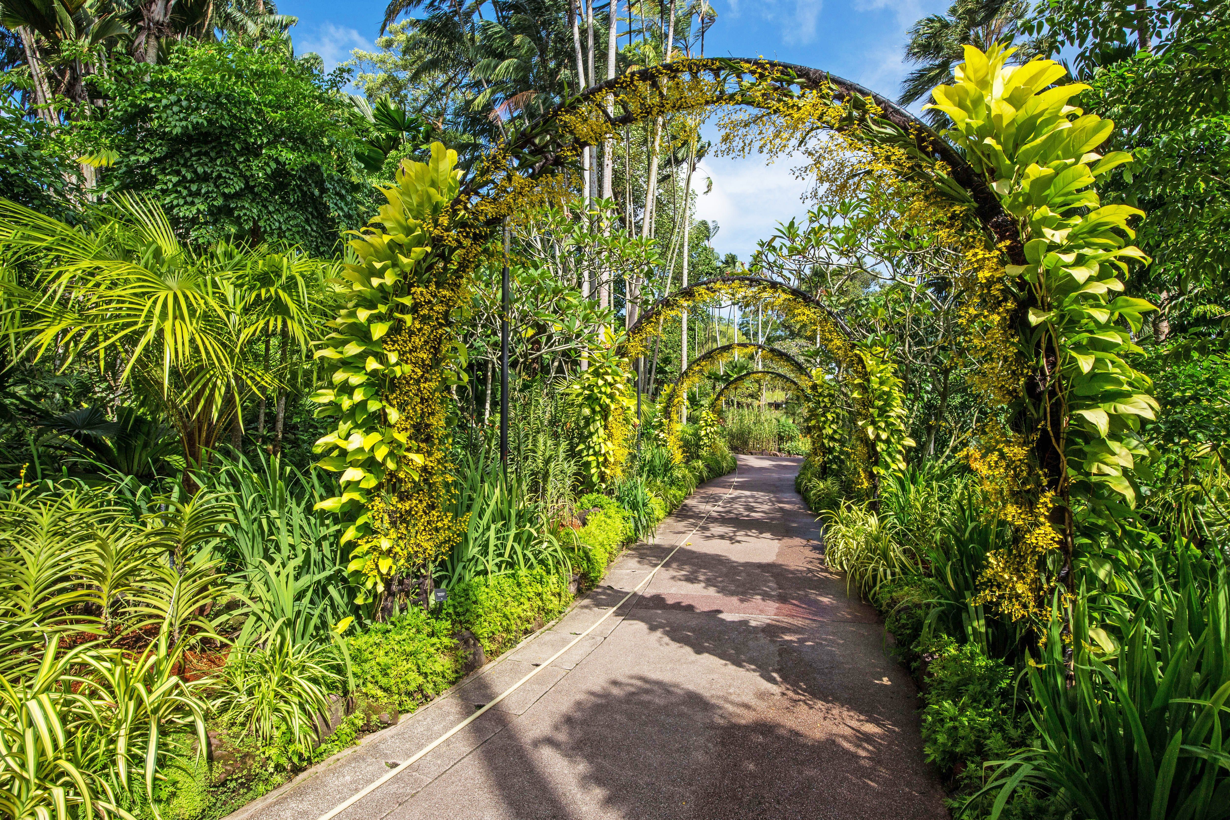 Singapore Botanic Gardens Singapore Botanic Gardens