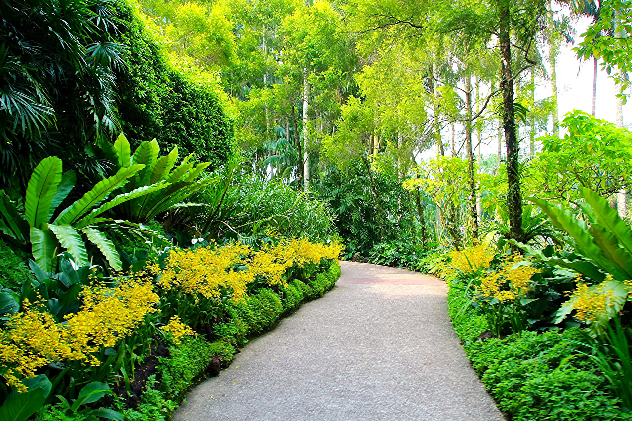 Singapore Botanic Gardens