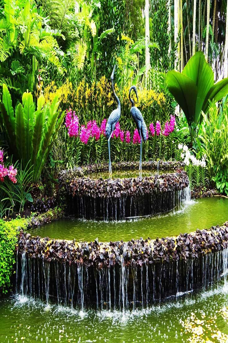The Singapore Botanic Gardens Travel