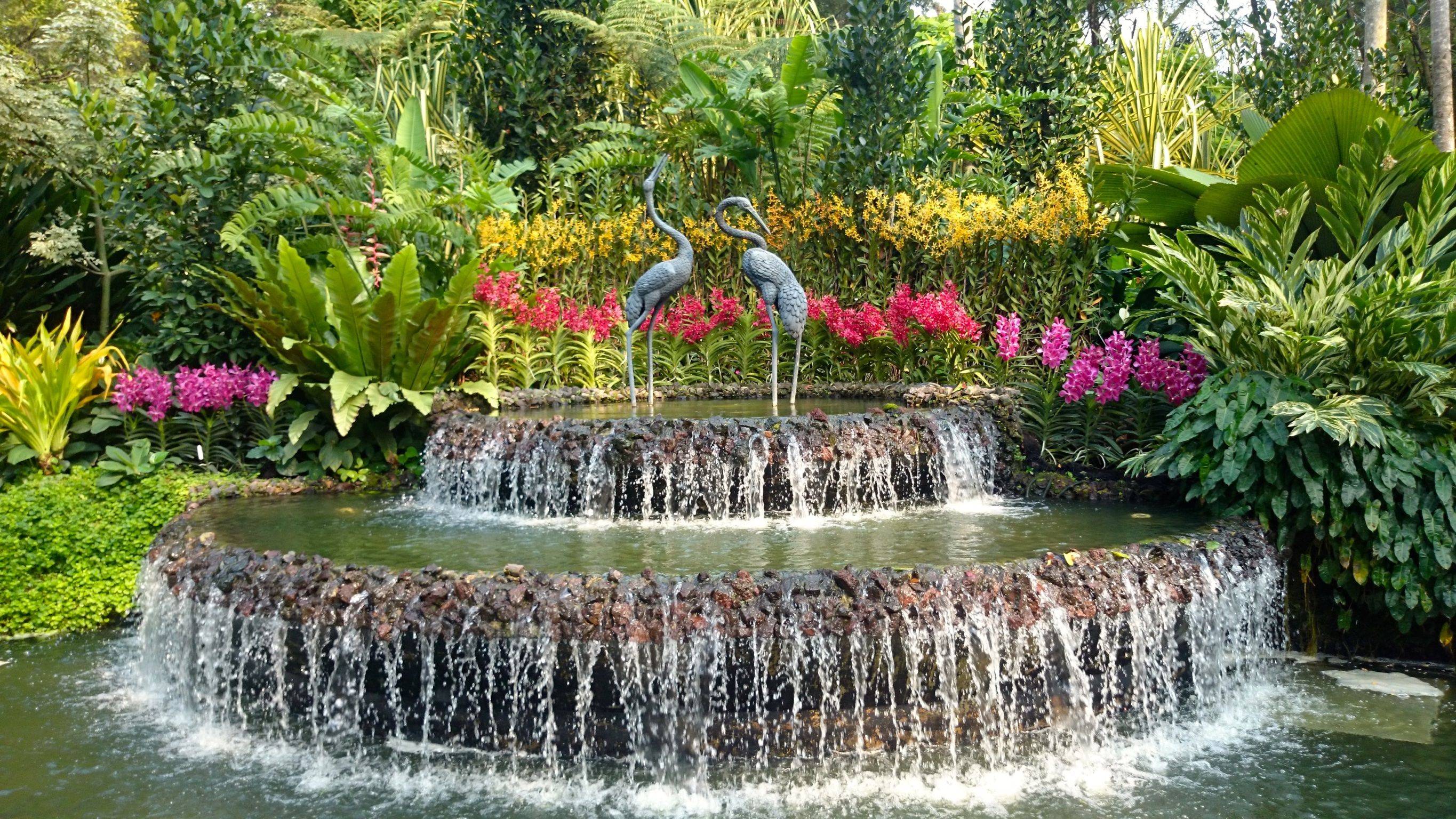 National Orchird Garden Singapore Botanic Gardens