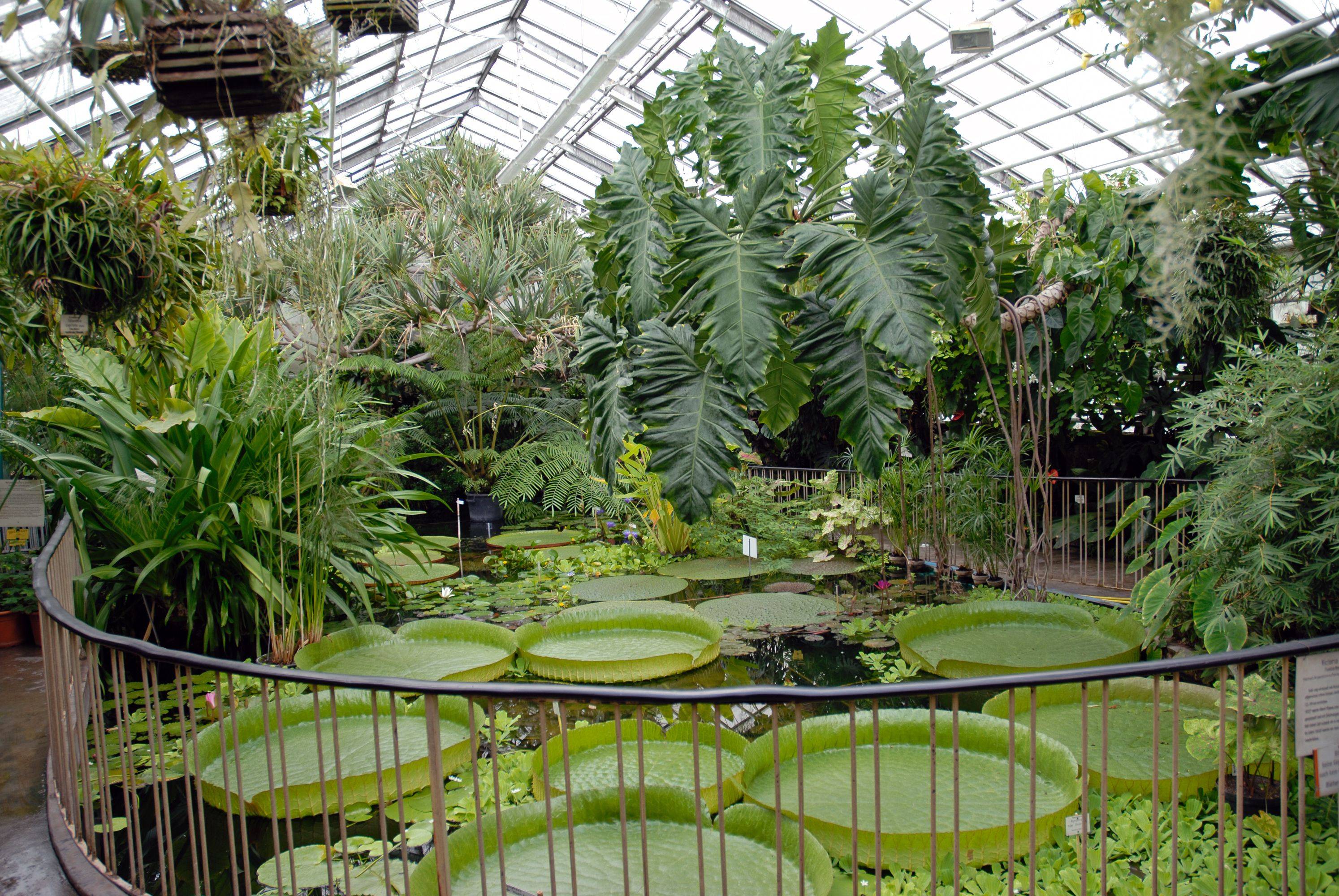 The Singapore Botanic Gardens Singapore Botanic