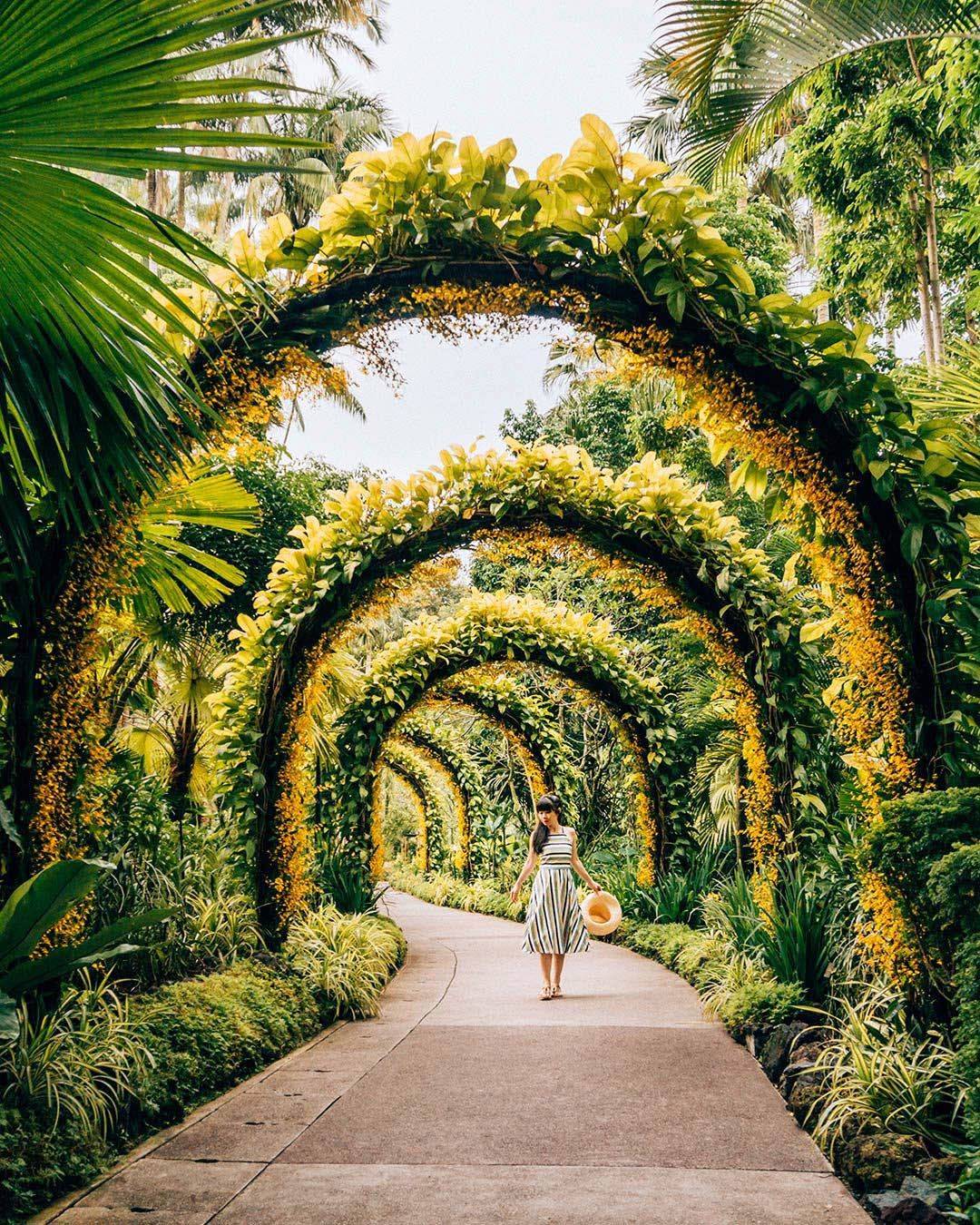 Singapore Botanic Gardens Singapore Botanic Gardens