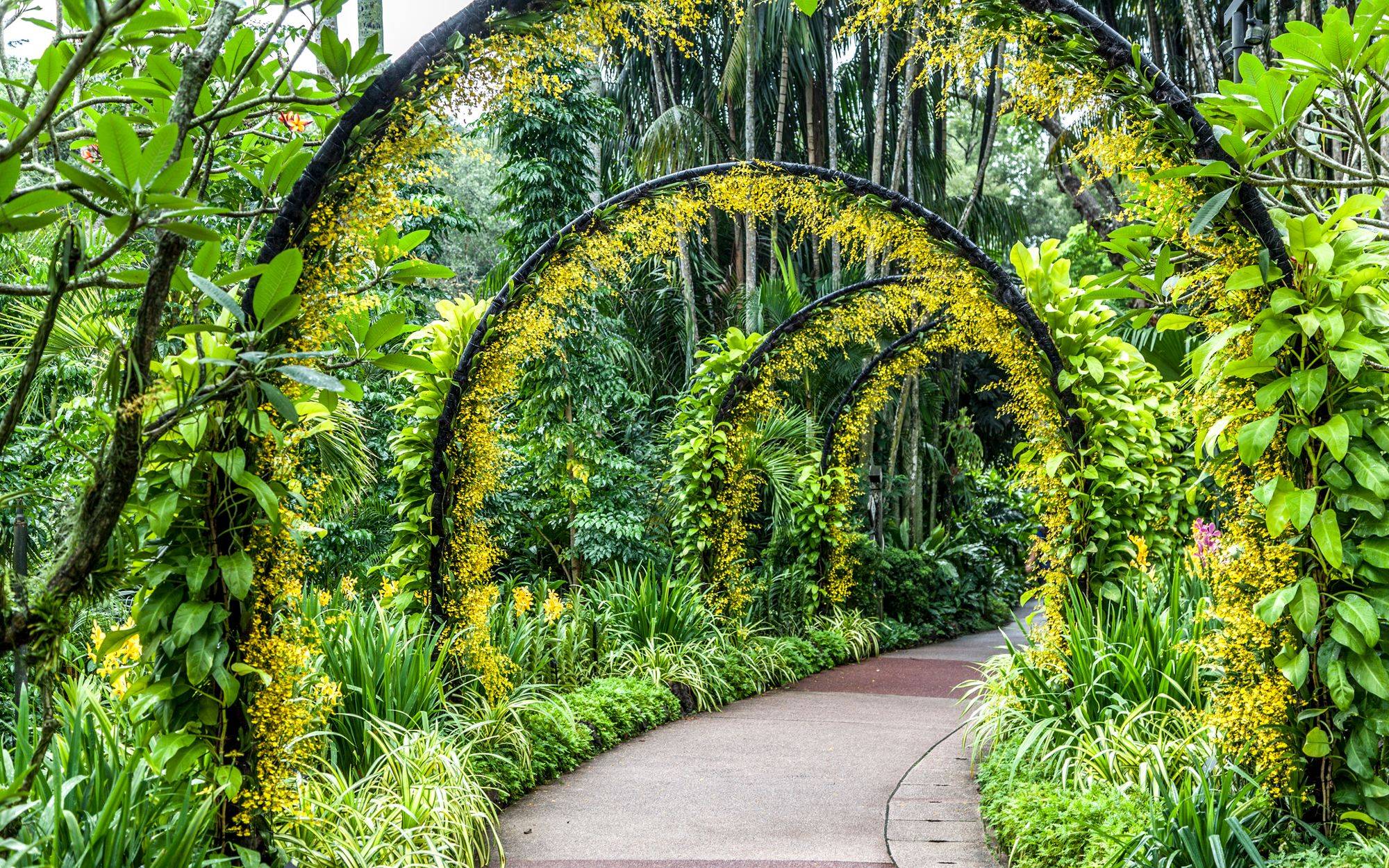 Singapore Botanical Garden