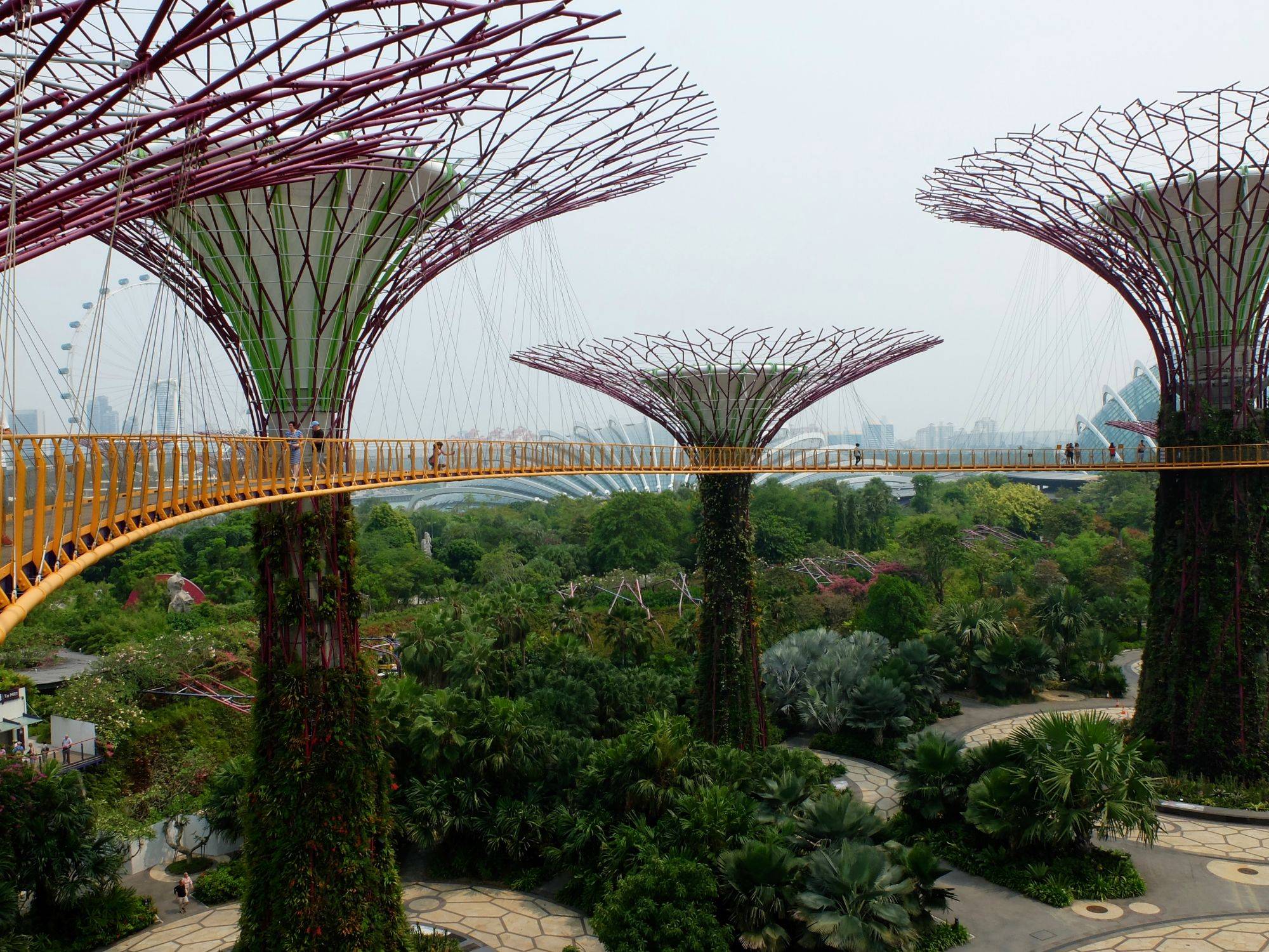Singapore Visions