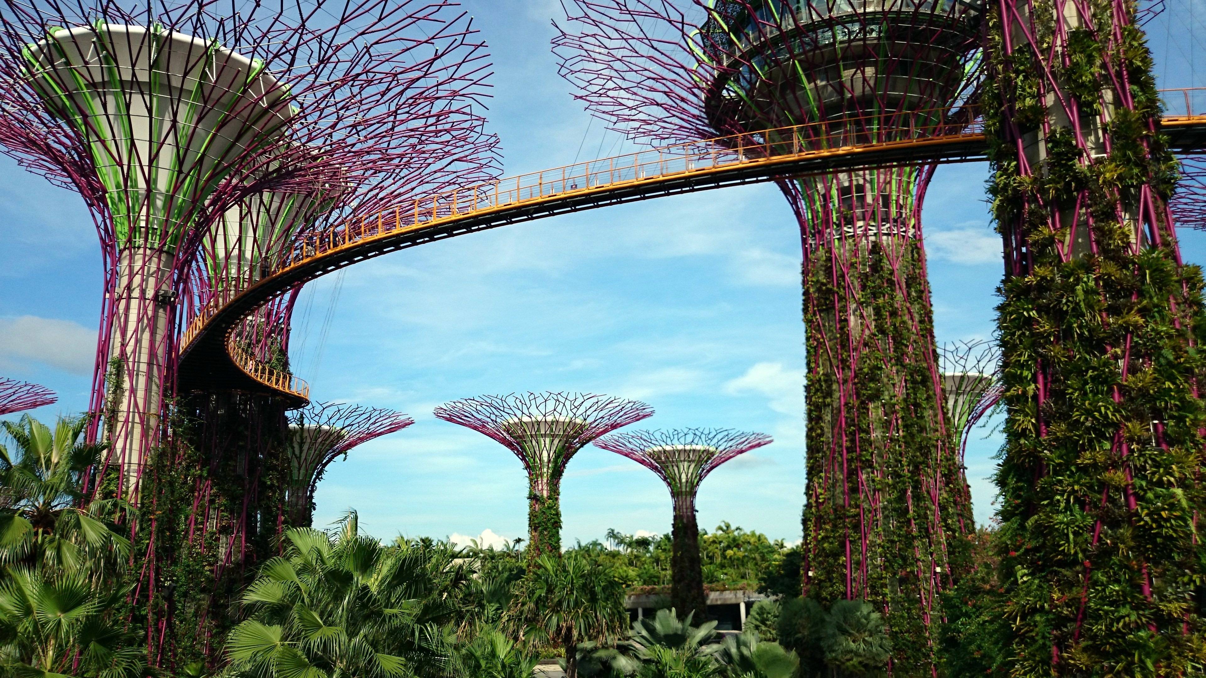 Singapore Visions