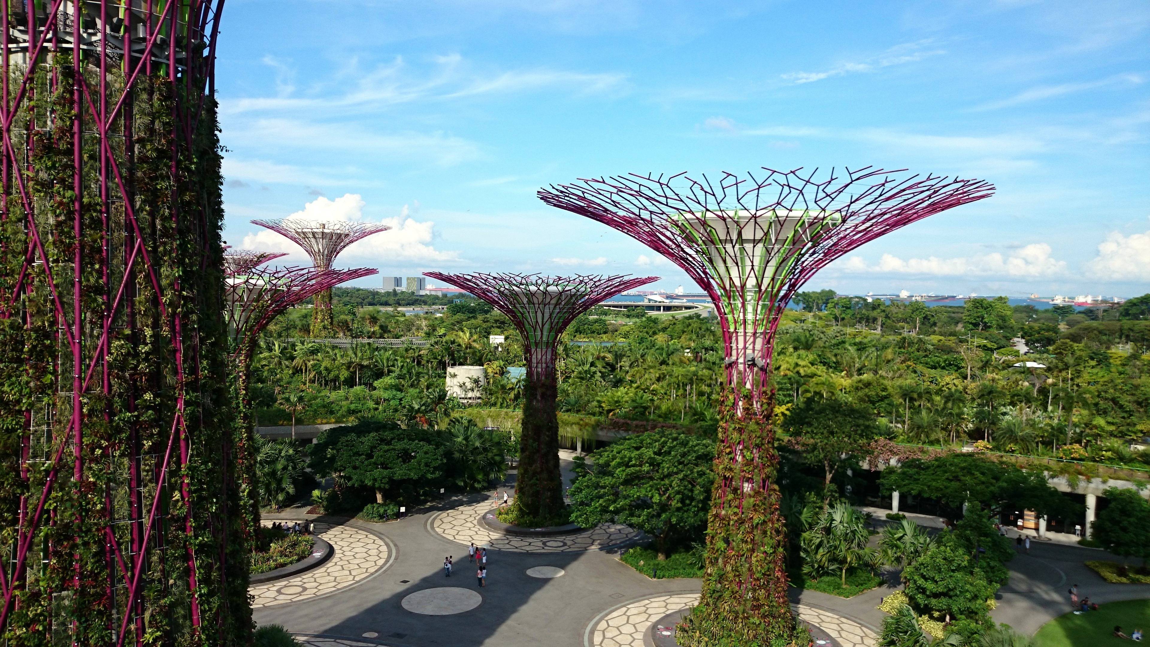 Singapore Visions