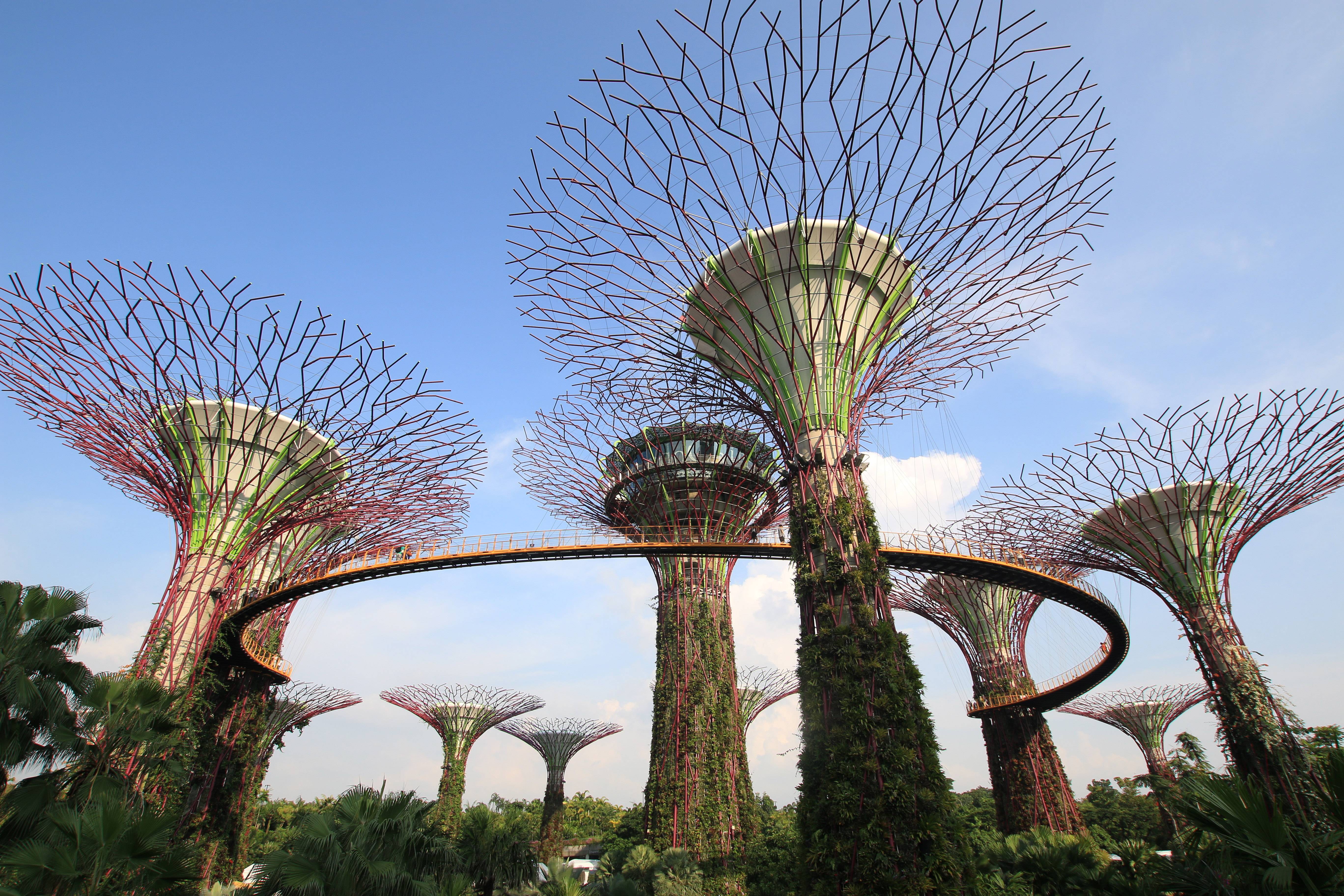 Singapore Visions