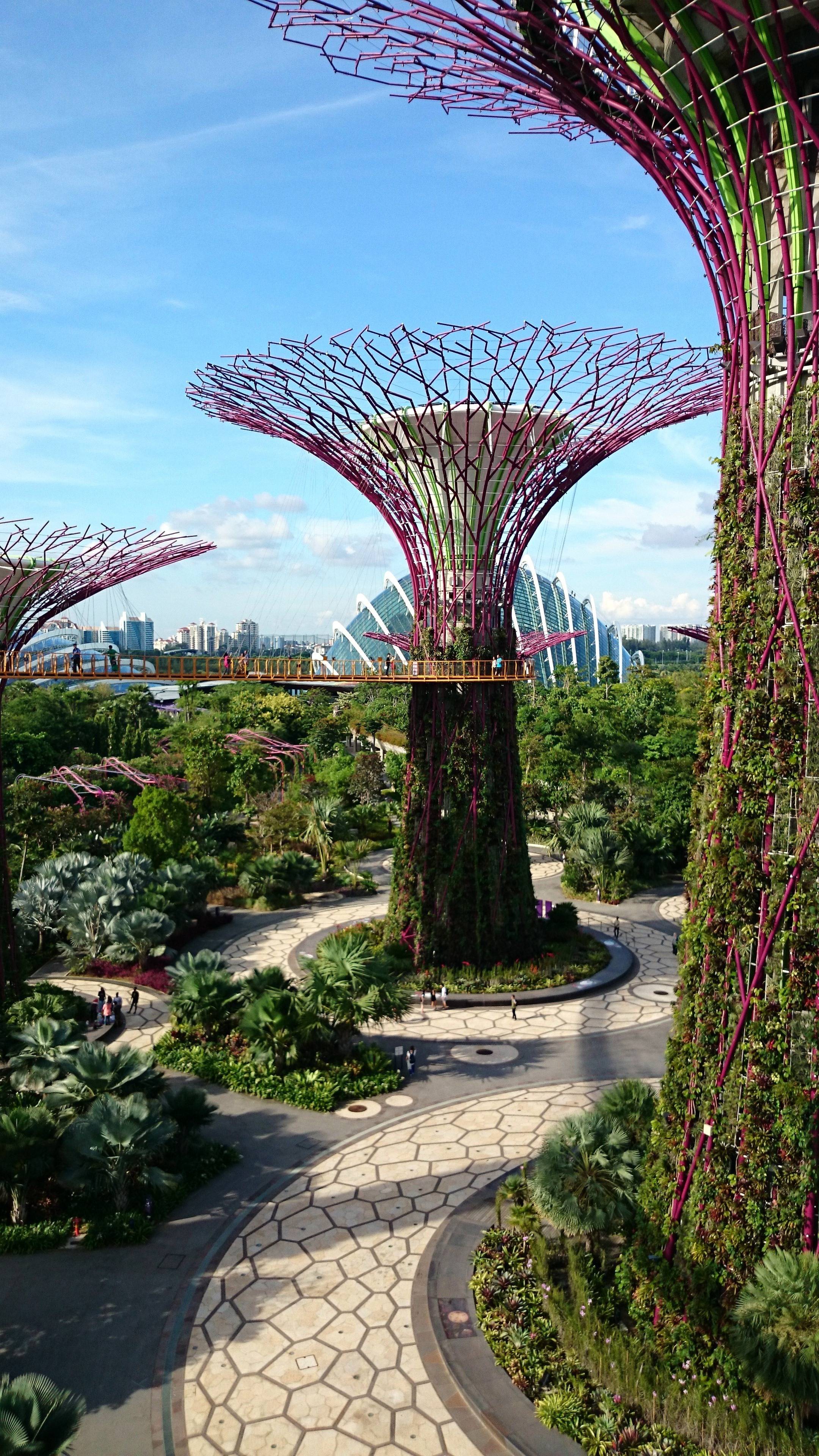 Singapore Visions