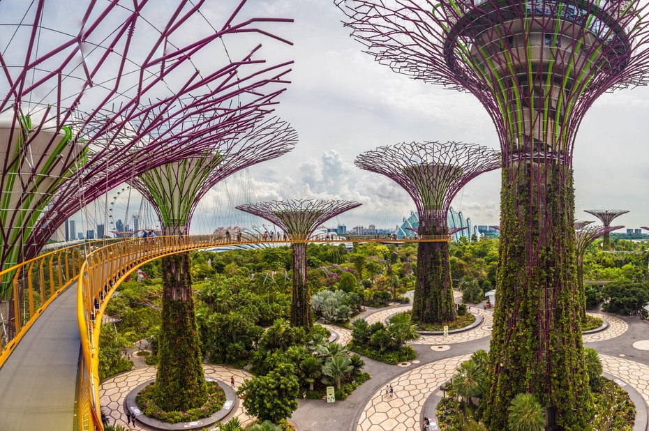 Skyline Travel Singapore Travelonappcom