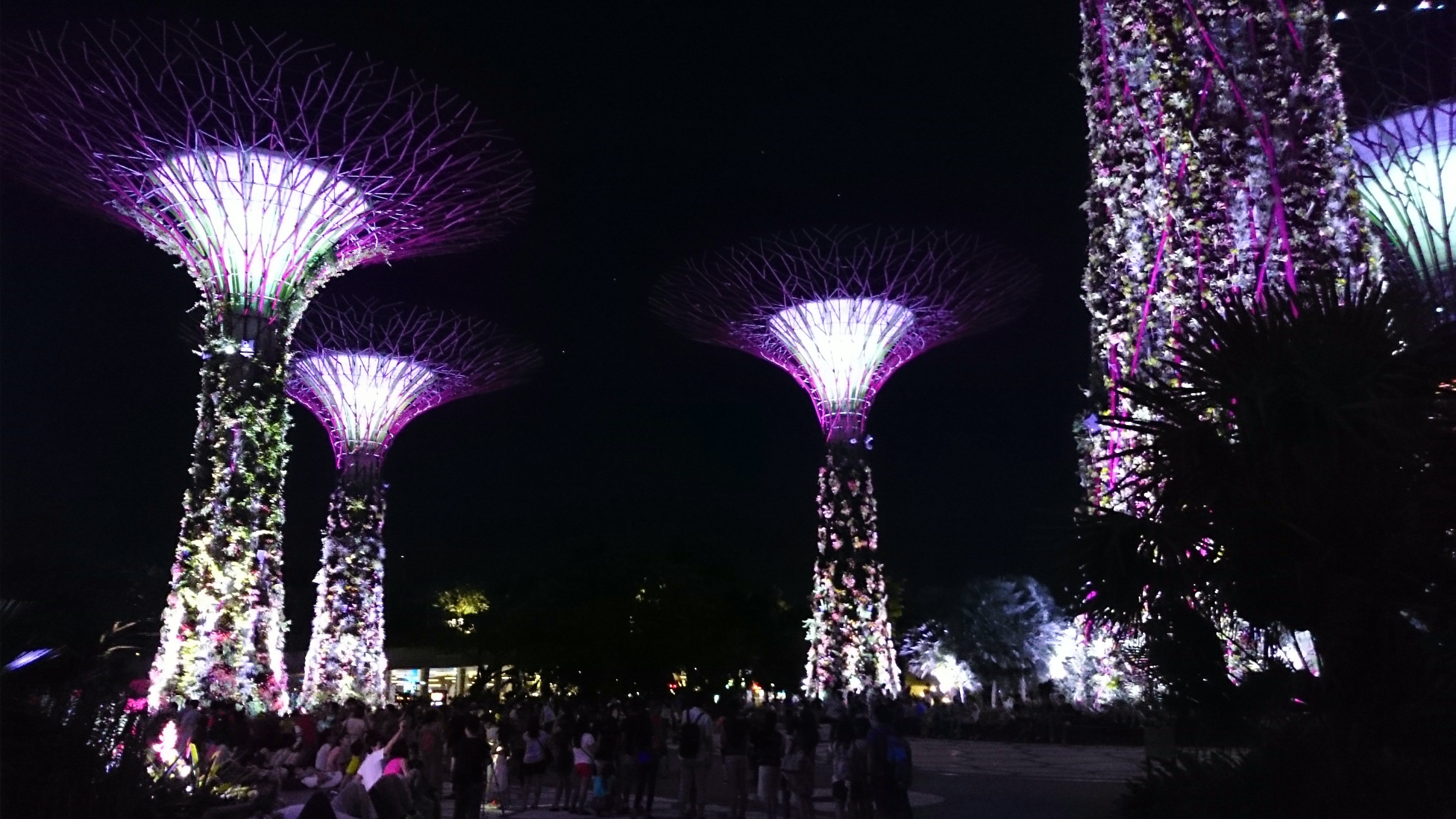 Singapores Gardens