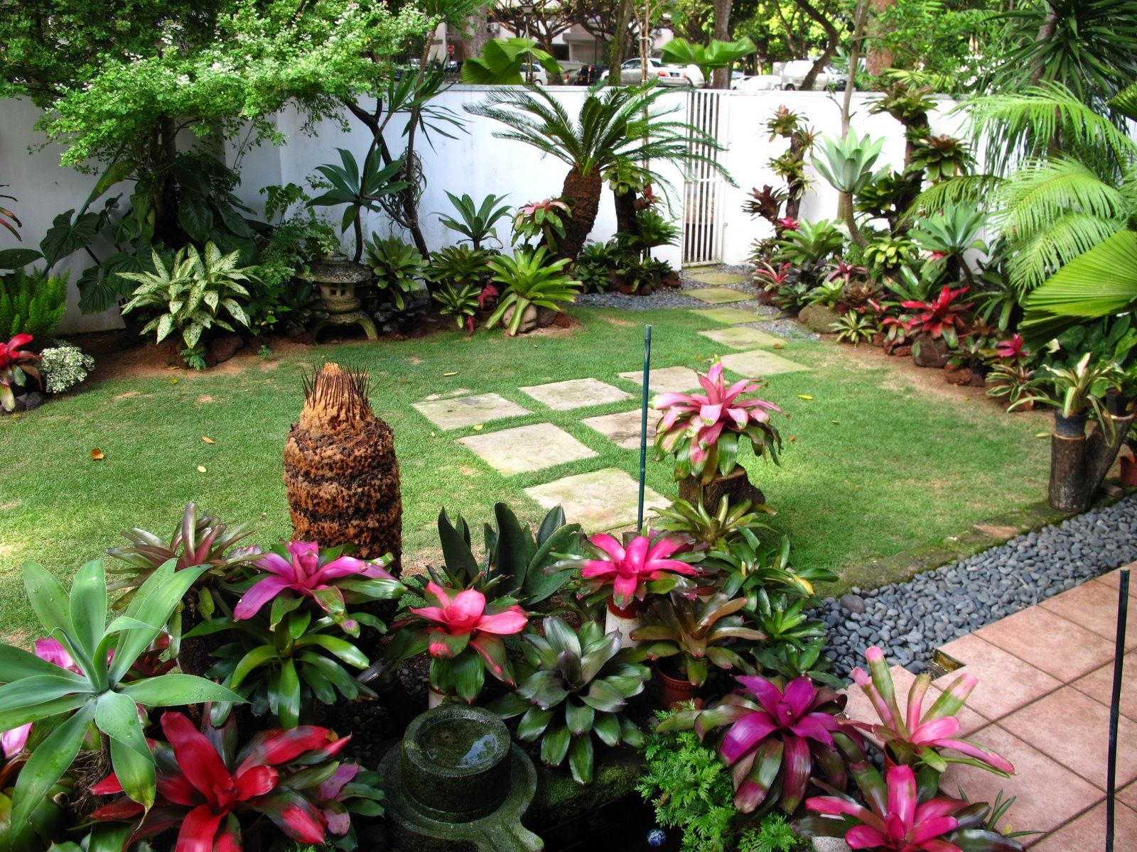 Australian Tropical Gardens Tropical Landscape Design