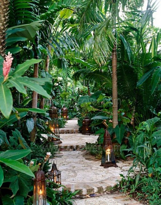 Botanic Gardens Singapore Pinterest Gardens