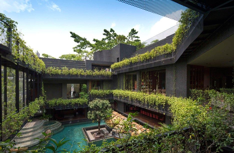 Singapore Trop