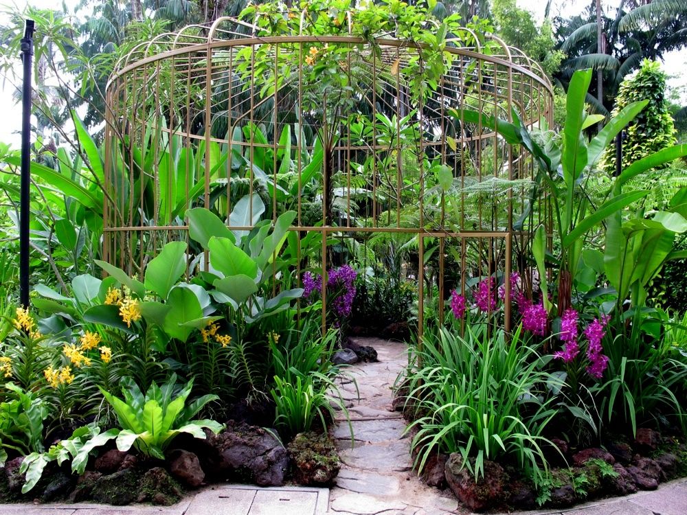 Singapore Trop
