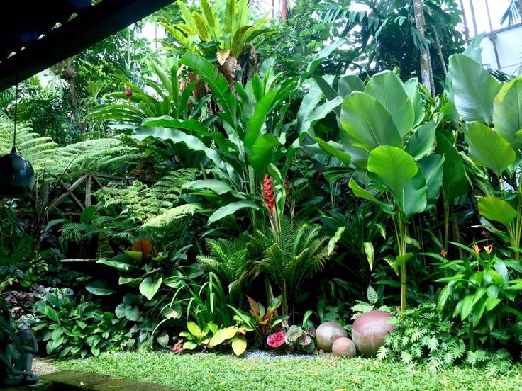 Cornwall Garden Tropical Landscape Singapore