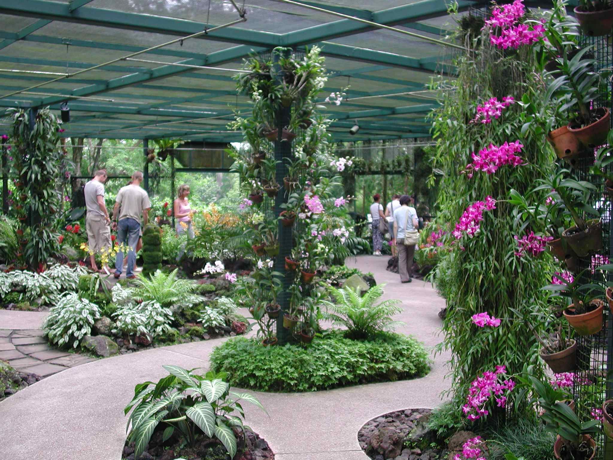 The Landscape Ideas