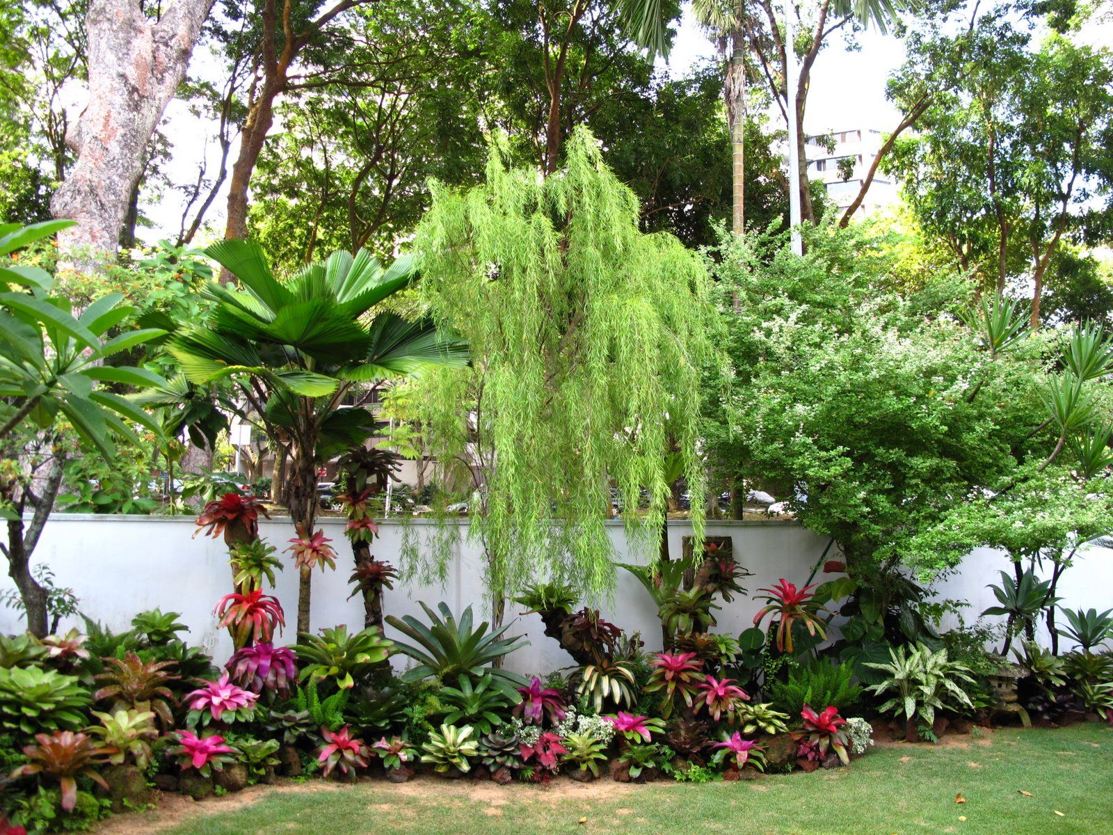 Tropical Landscape Design