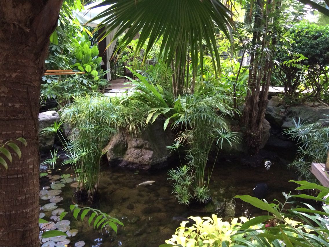 Singapore Botanical Garden Photo