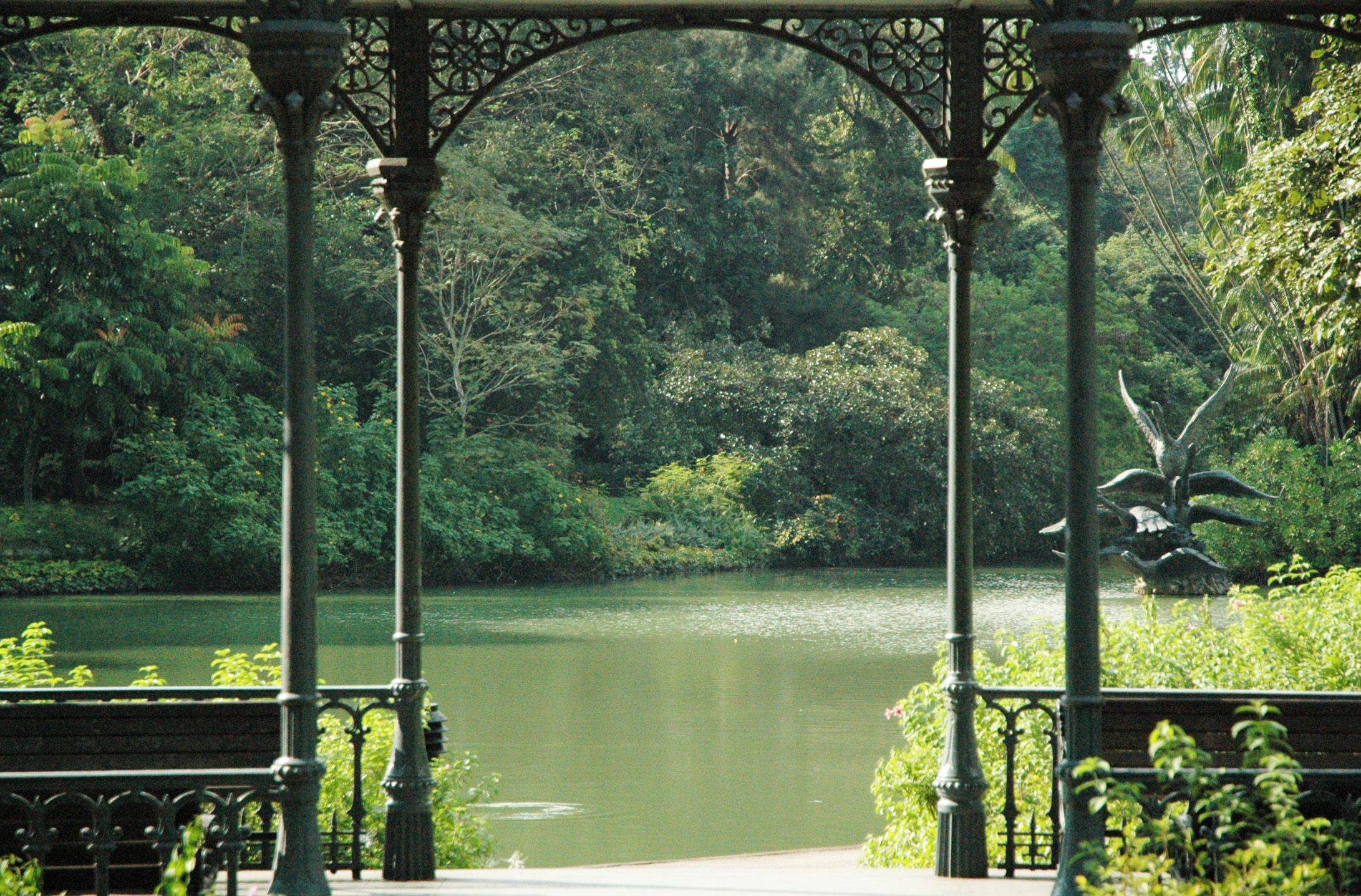 European And American Trees