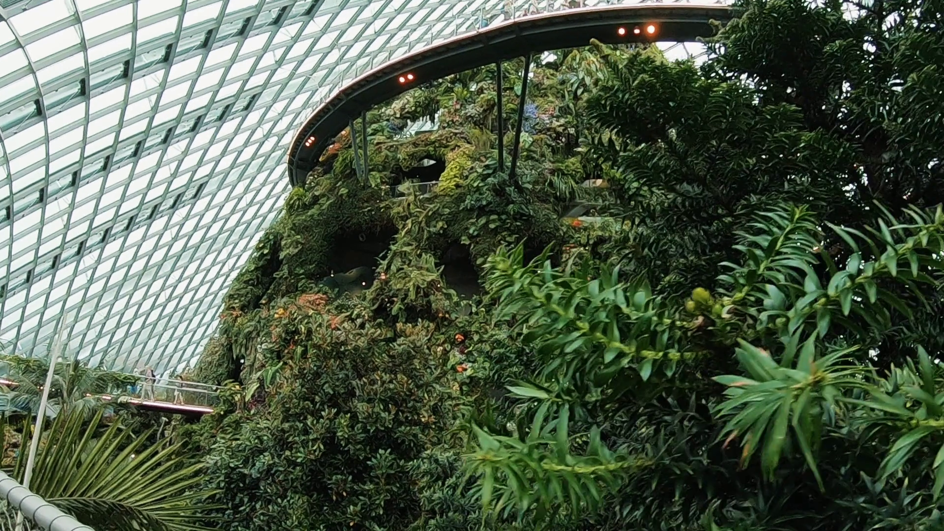 Flower Garden Logo Design