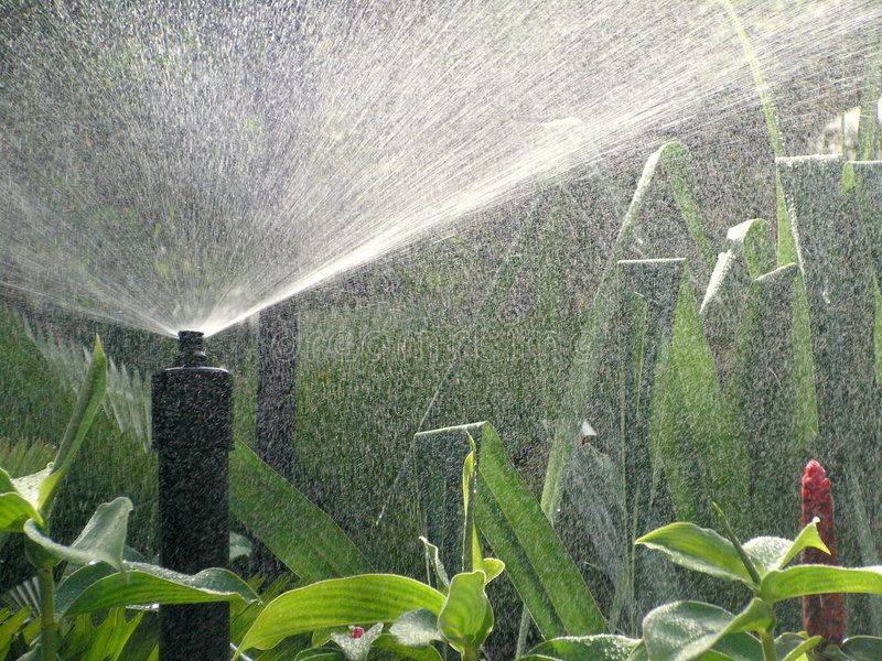 Singapore Botanical Gardens Tropical Landscaping