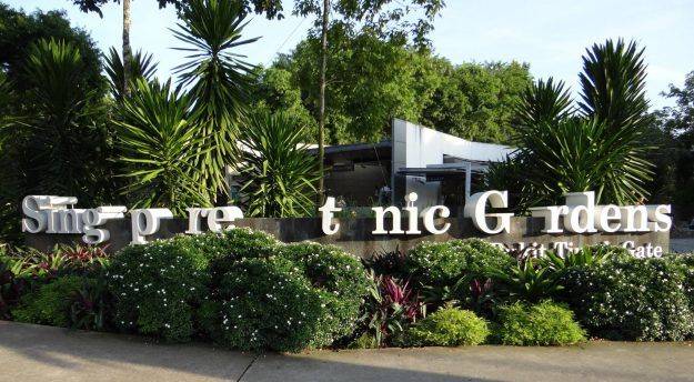 Singapore Botanical Gardens Tropical Landscaping