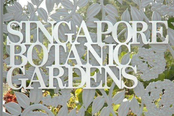 The Singapore Botanic Gardens
