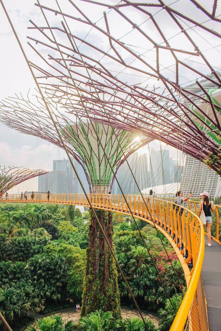 Singapore Botanical Gardens