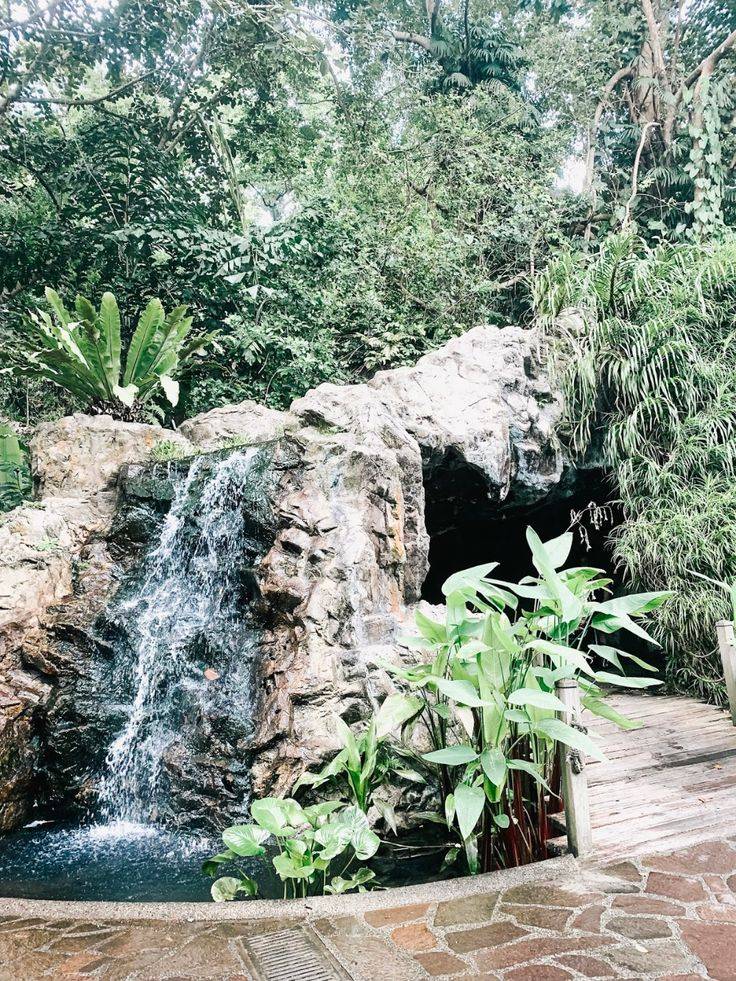 Singapore Botanic Gardens