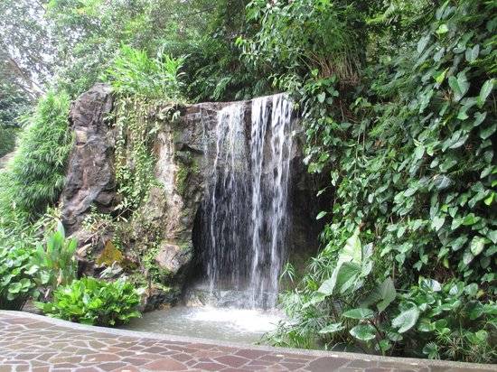Singapore Singapore Botanic Gardens
