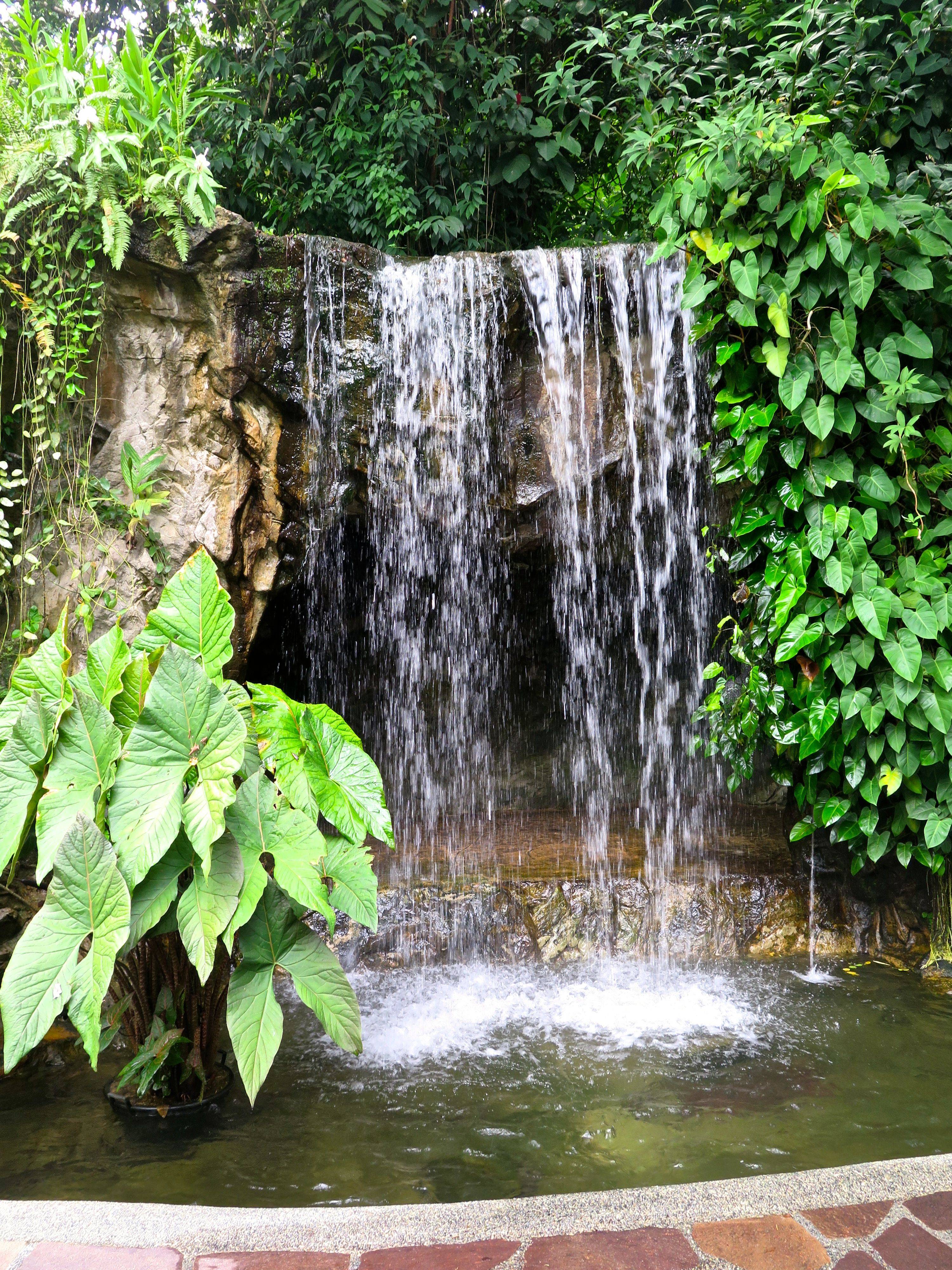 Singapore Botanic Gardens