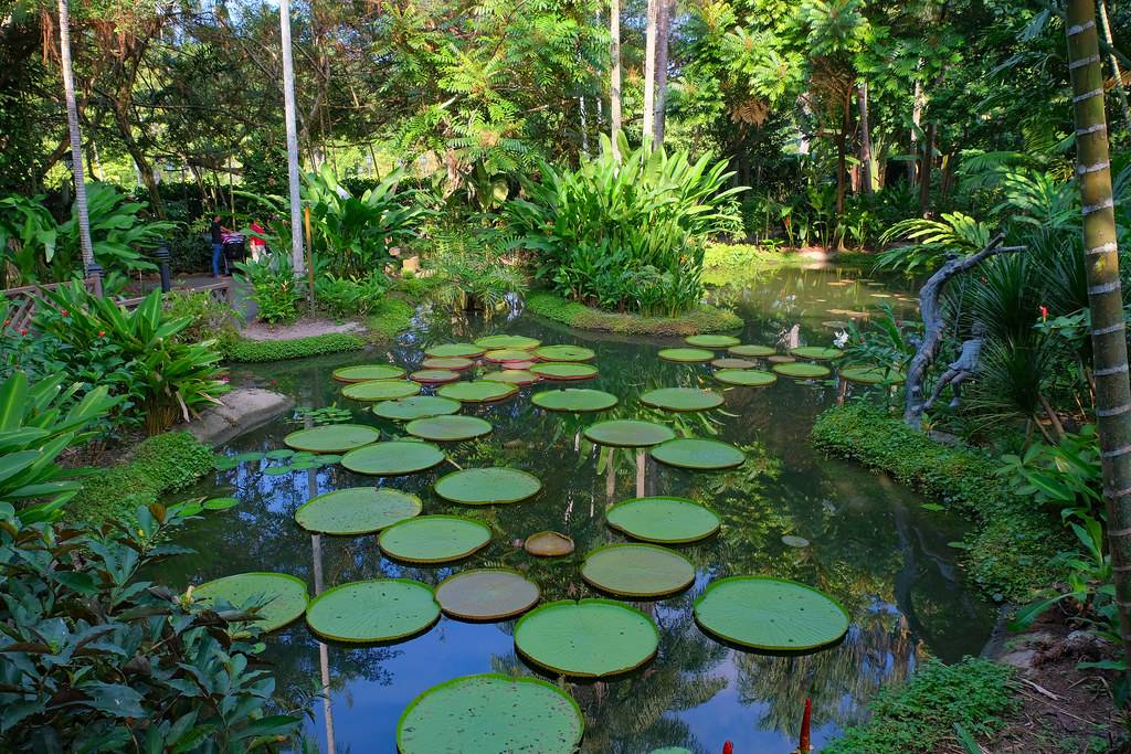 Genome Architects Explore A Heritage Narrative