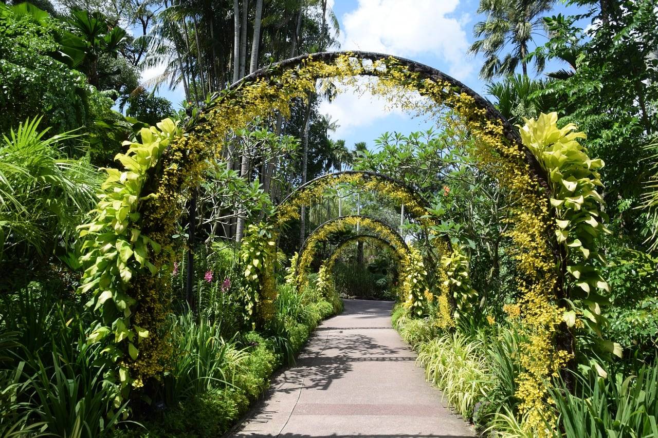 The Singapore Botanic Gardens