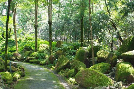 Beautiful Gardens Singapore Botanic Gardens