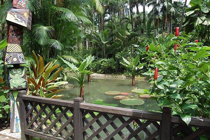 Singapore Botanic Gardens