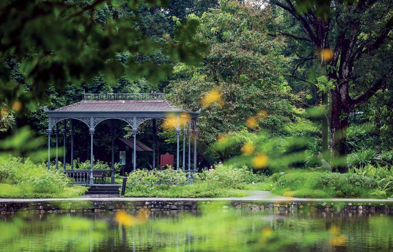 Singapore Botanic Gardens