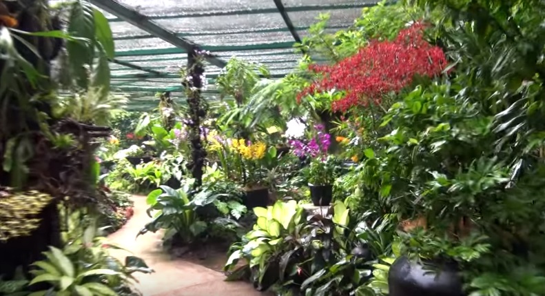 The Singapore Botanic Gardens