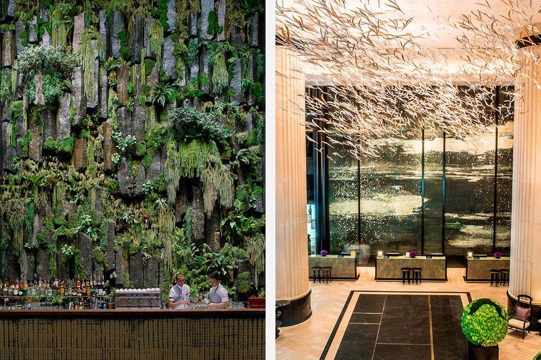 The Secret Tropical Oasis