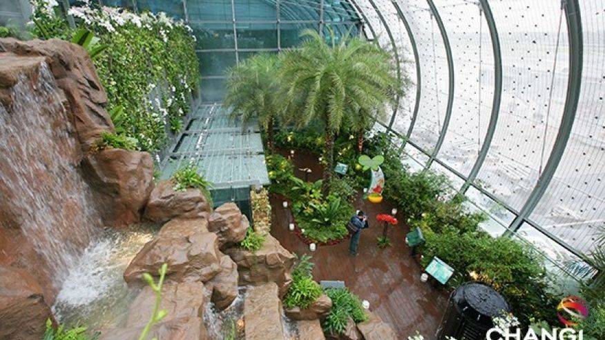 Singaporeinspired Oasis