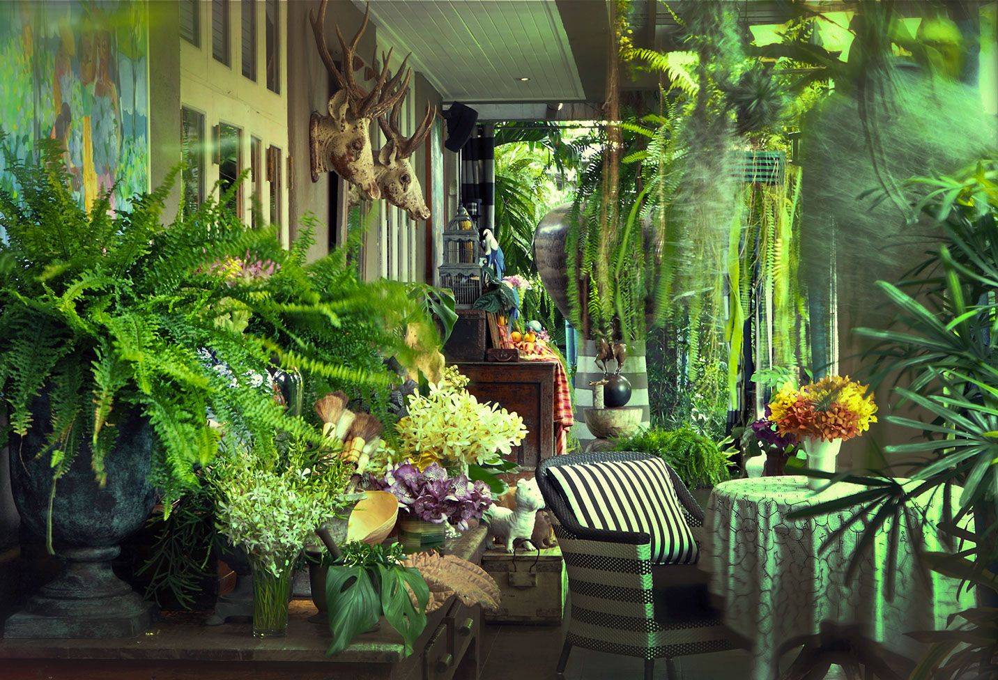 A Tranquil Star Escape Green Wall