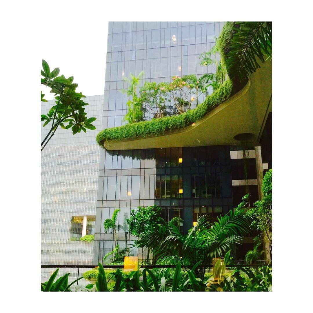 The Worlds Best Airports