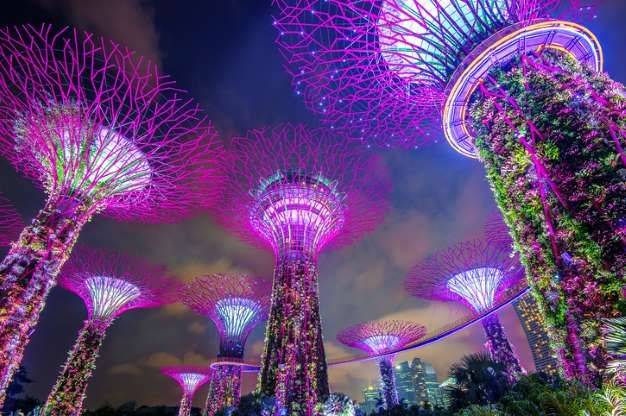The Bay Supertrees Singapore Singapore Garden