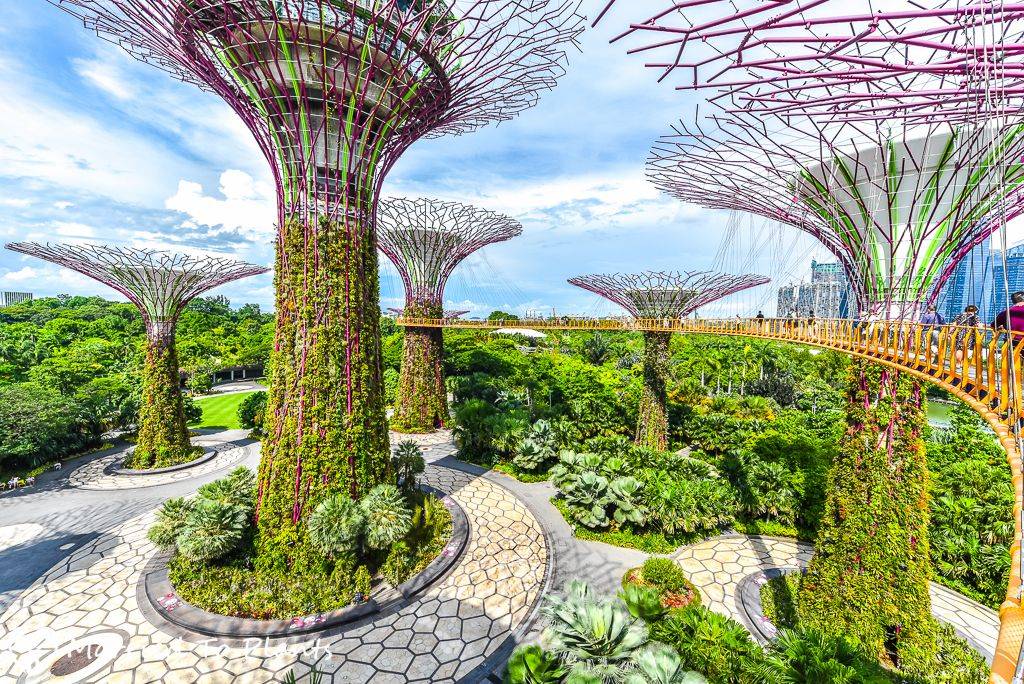 The Bay Supertrees Singapore Singapore Garden