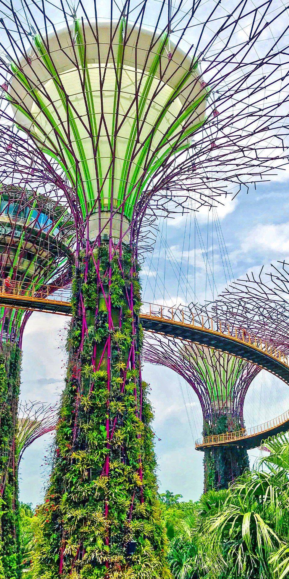 New The Best Garden Ideas